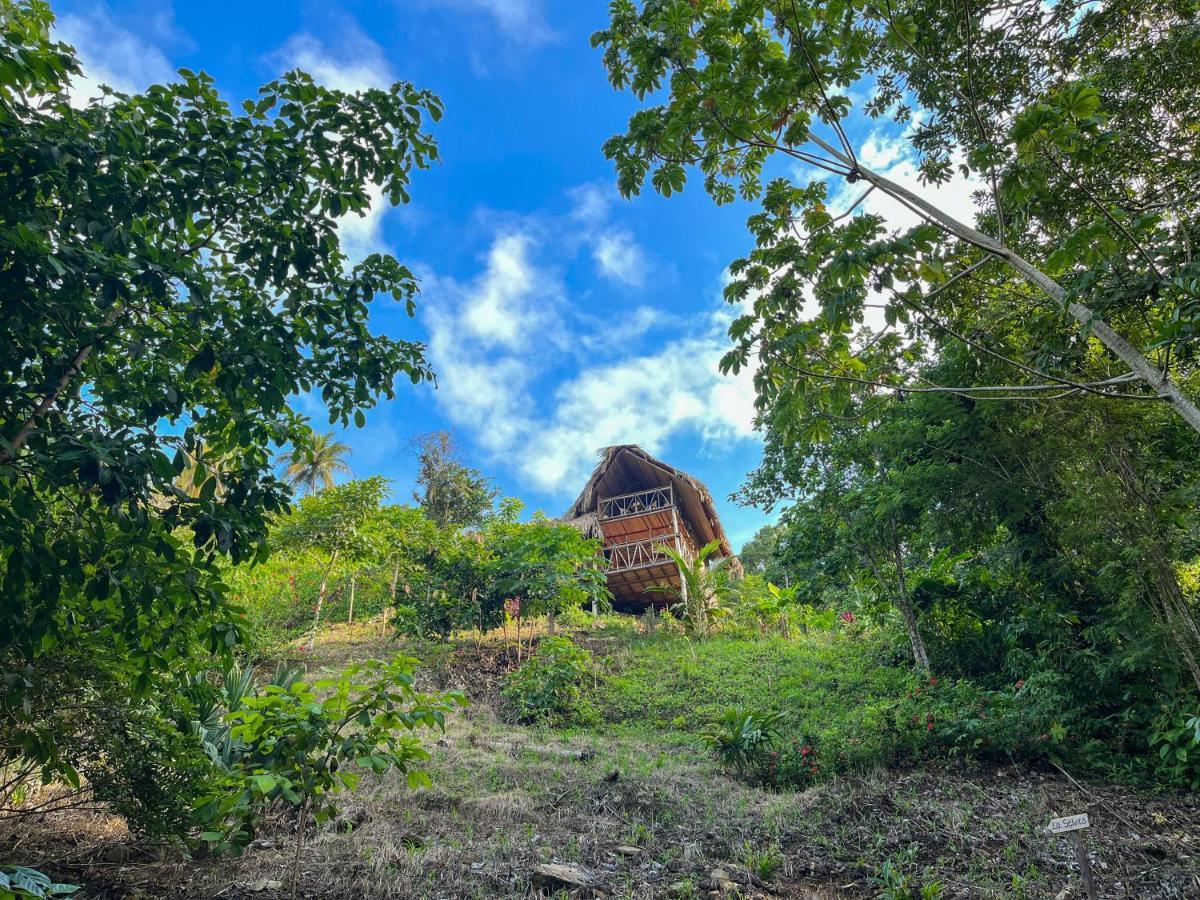 Finca La Selvita Chocolate Experience Buritaca Buitenkant foto