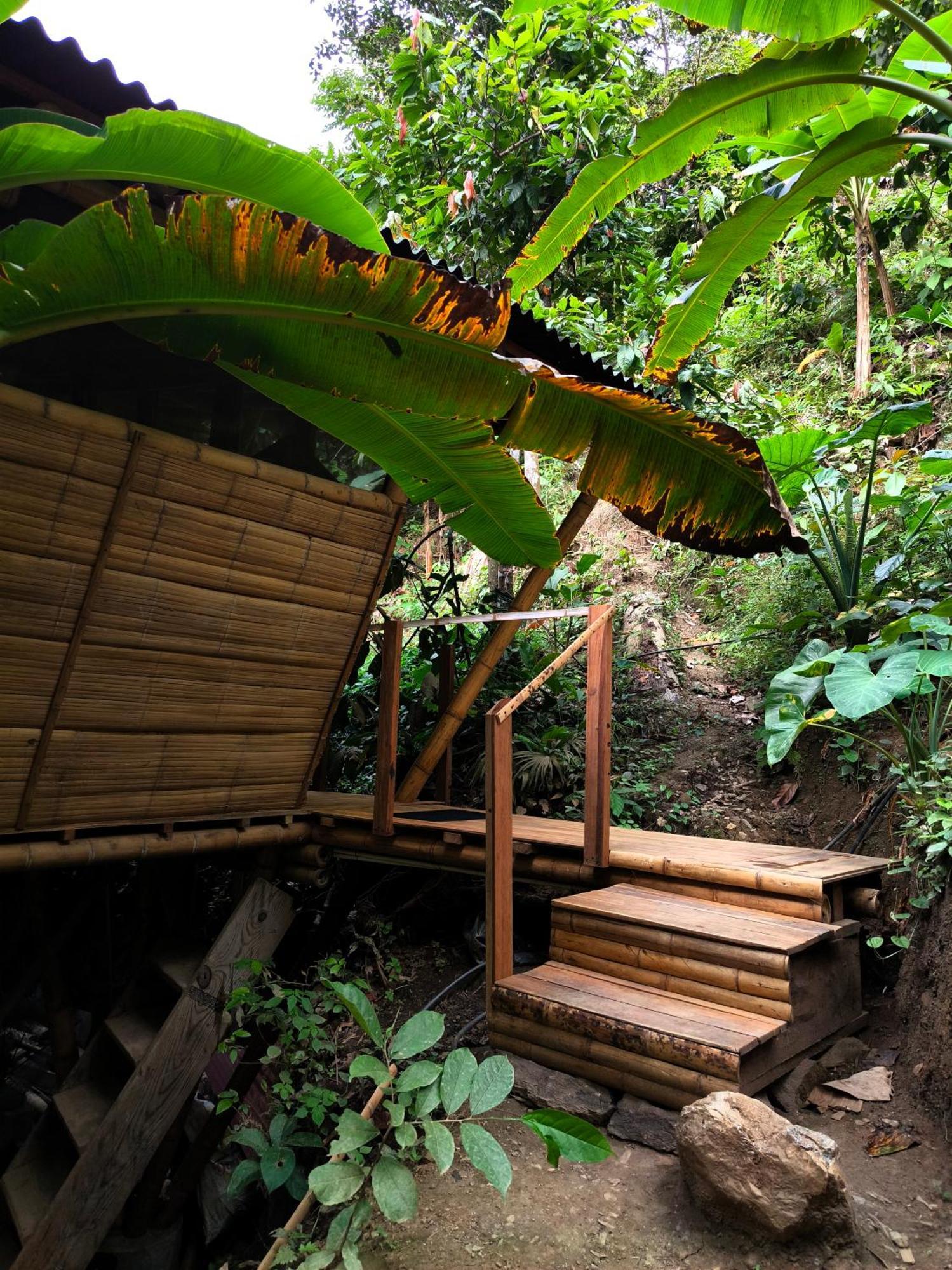 Finca La Selvita Chocolate Experience Buritaca Buitenkant foto