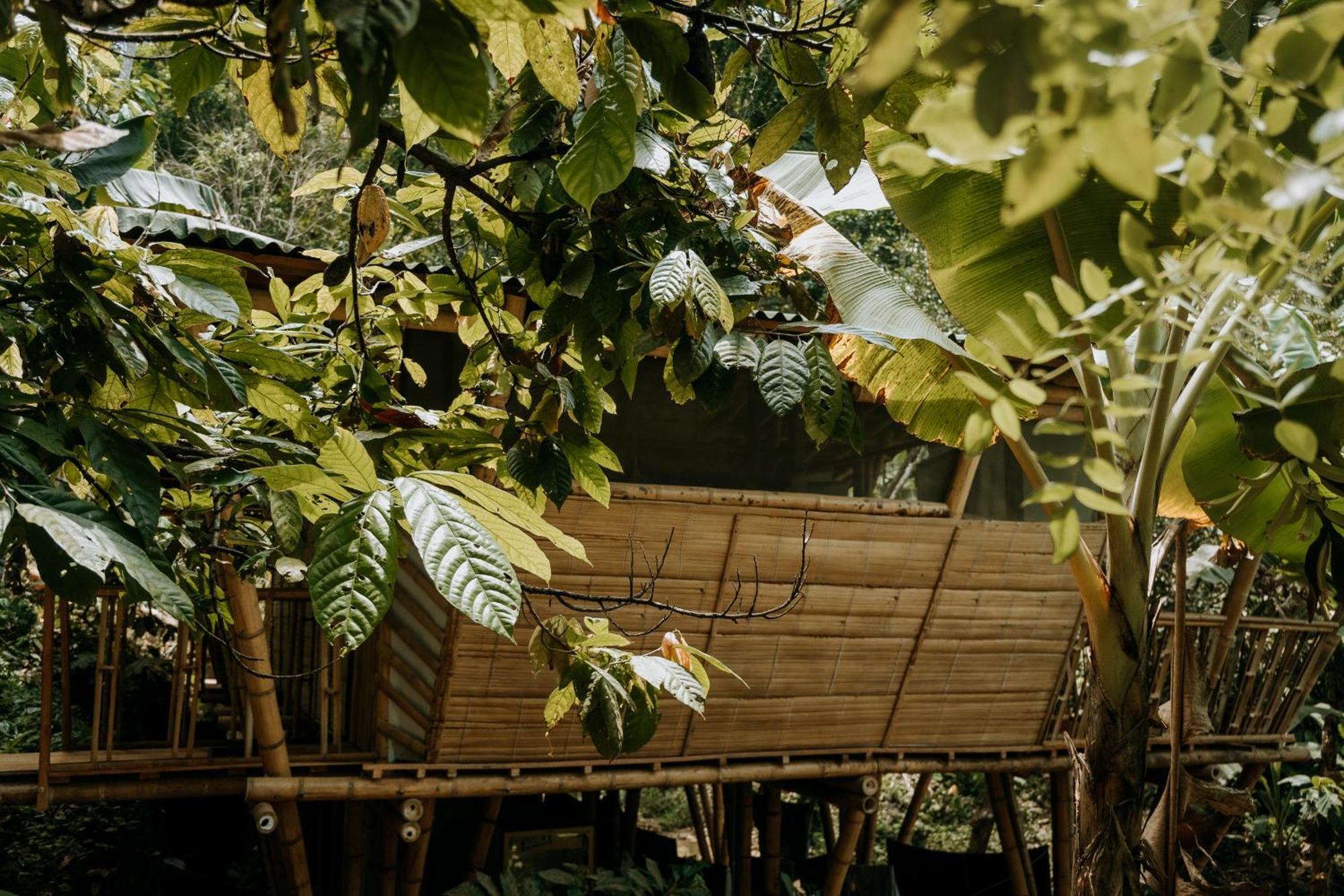 Finca La Selvita Chocolate Experience Buritaca Buitenkant foto