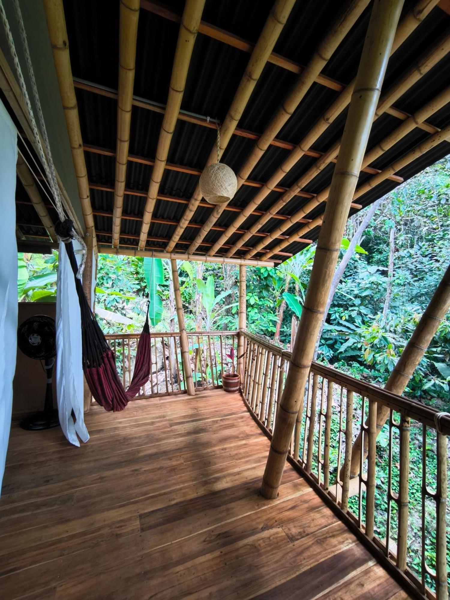 Finca La Selvita Chocolate Experience Buritaca Kamer foto